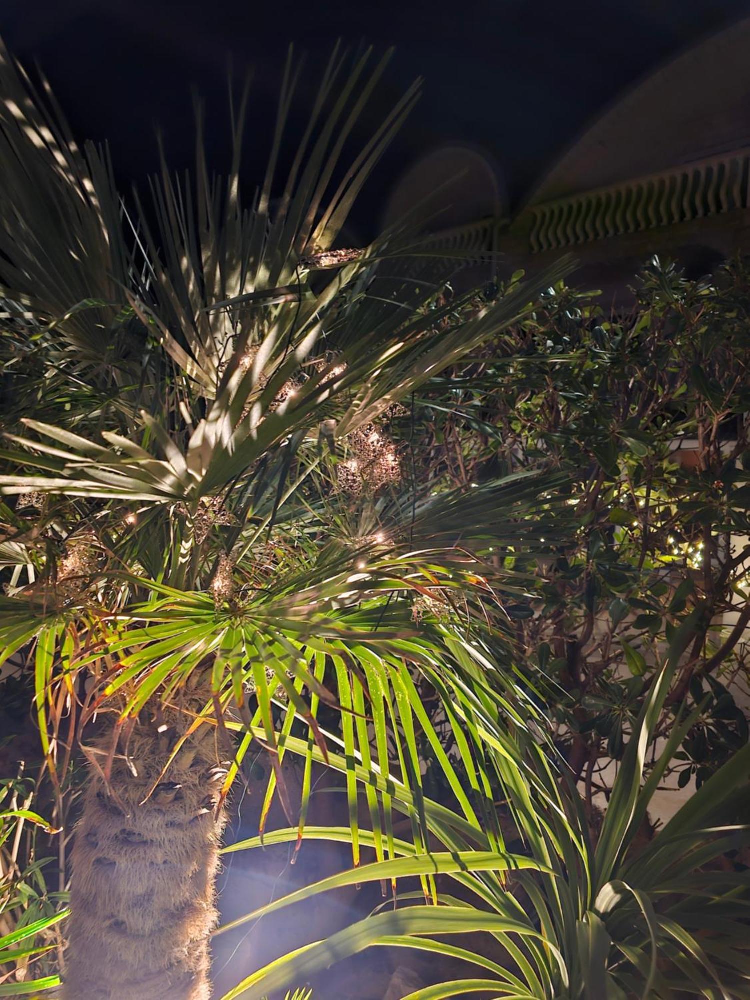 Apartment Melani ヴィル エクステリア 写真